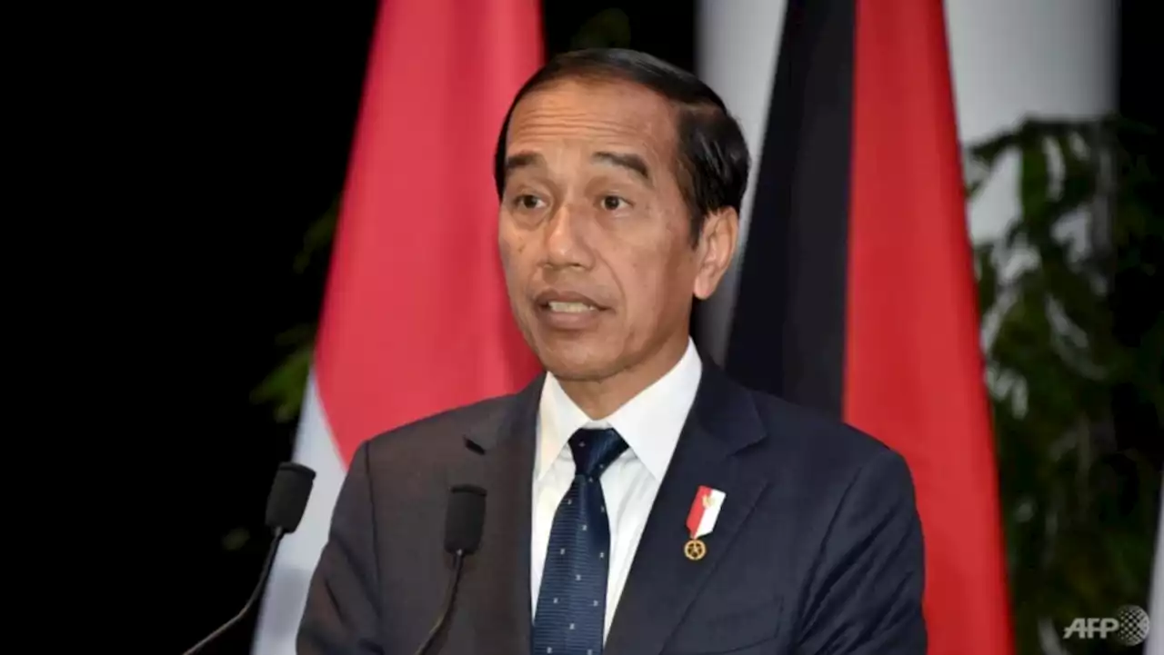 Indonesian President Jokowi warns ASEAN 'can't be proxy' of any country