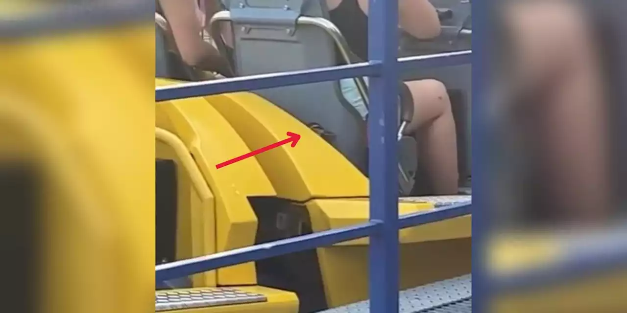 Duck goes for a ride on Cedar Point roller coaster that reaches 93 mph