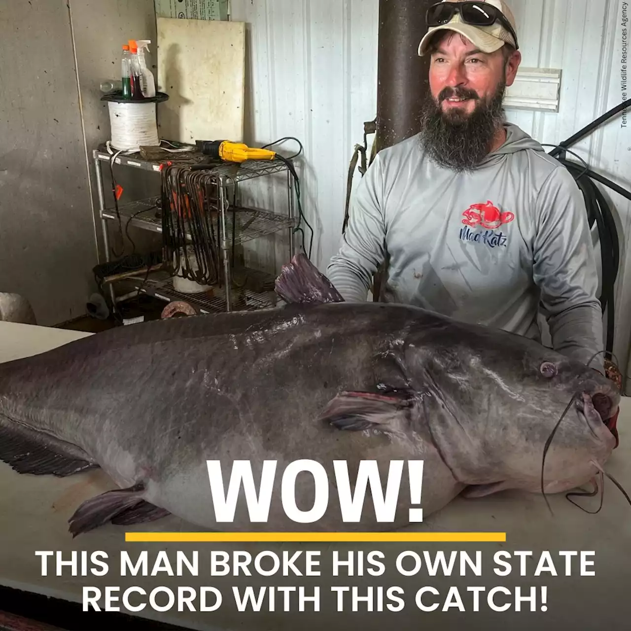 Man breaks his own state record by catching massive 122-pound catfish