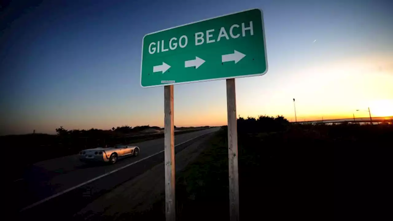 Suspect in custody in New York's long-unsolved Gilgo Beach killings, sources say | CNN