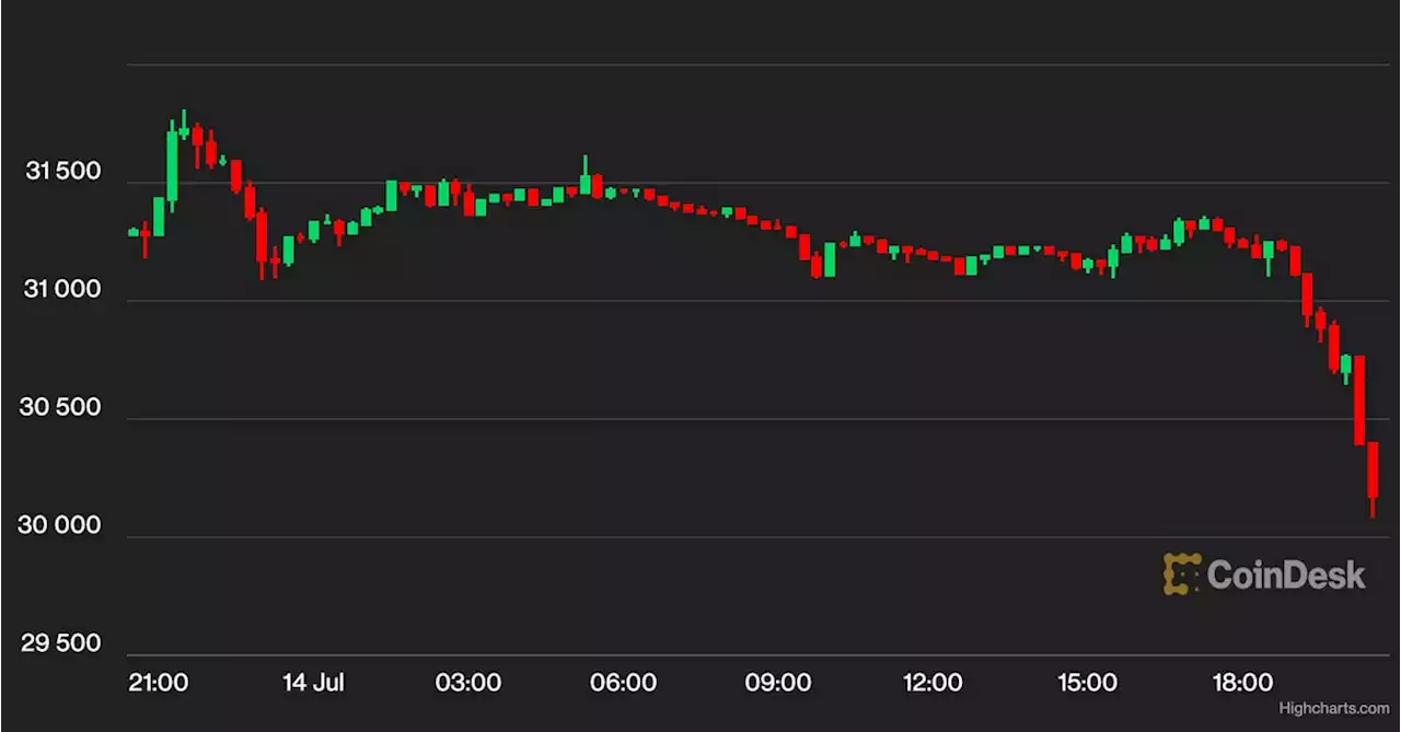 Bitcoin Tumbles Below $30K, Crypto Prices Buckle After Altcoin Frenzy on XRP Ruling