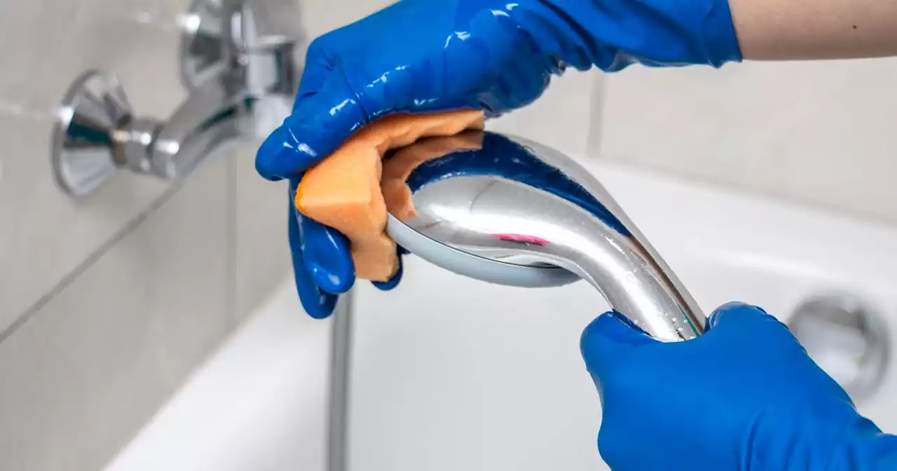 Banish limescale from shower and toilet with 29p hack shared by expert