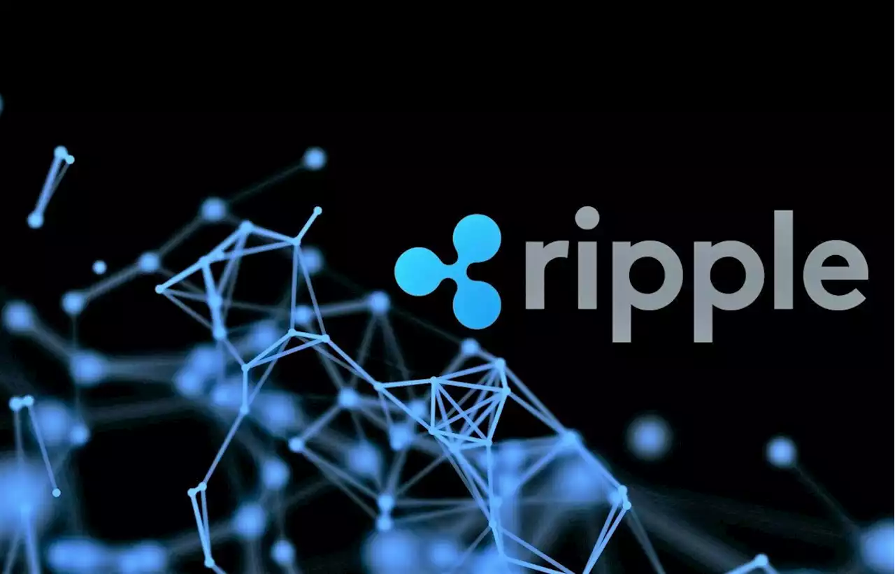 Ripple CTO warnt vor XRP-Betrug inmitten des Preisanstiegs