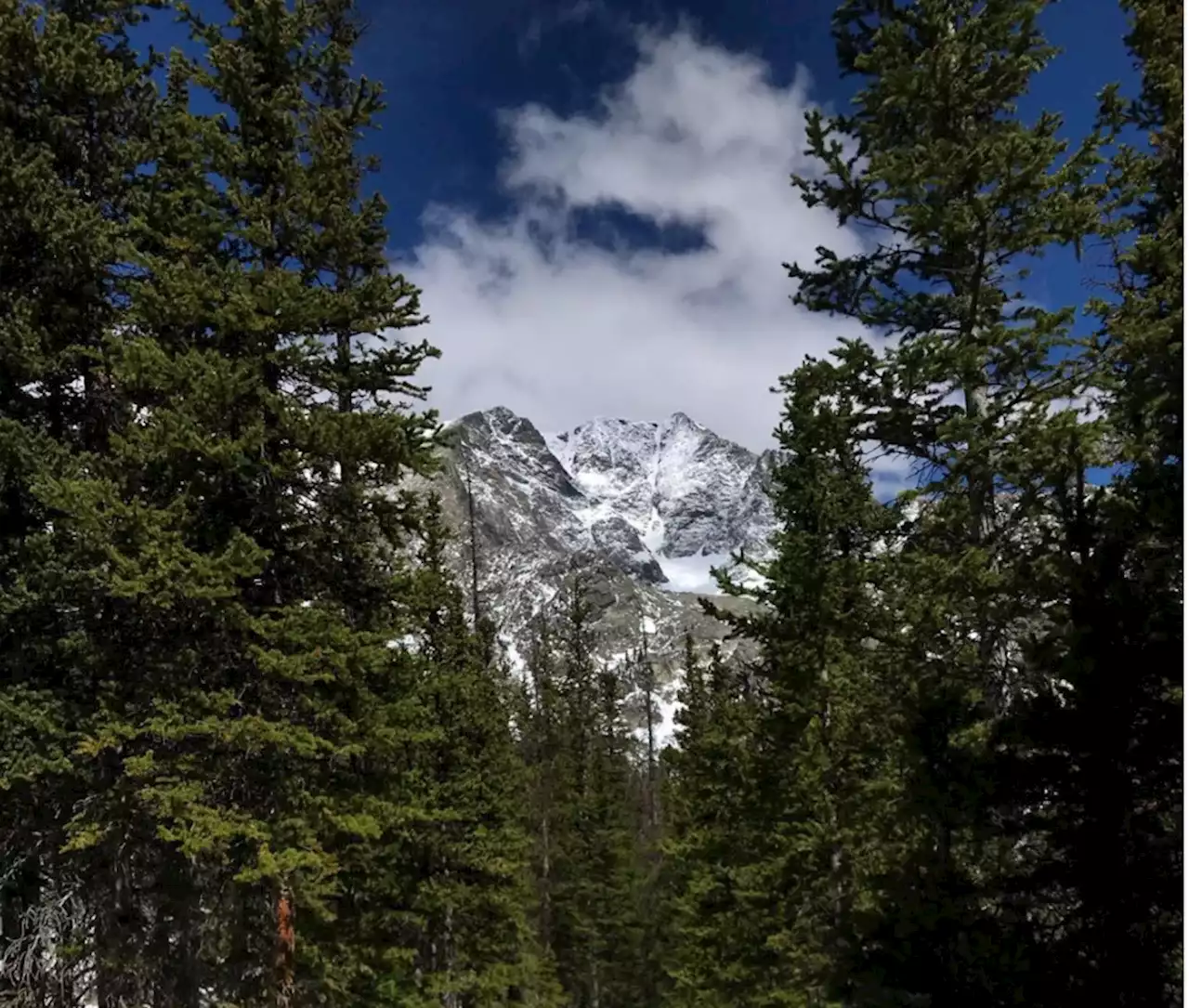 Woman killed while climbing in Rocky Mountain National Park identified