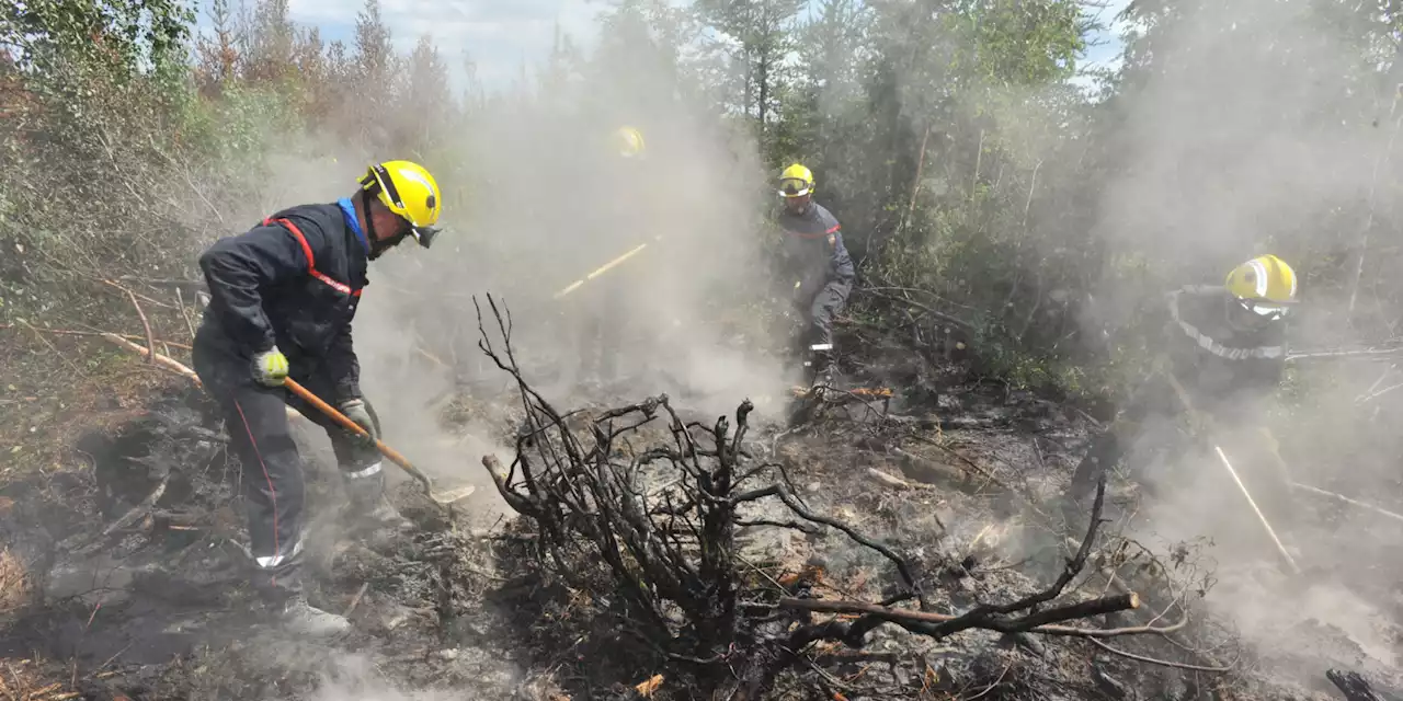 Mégafeux au Canada : décès d'une pompière, les incendies toujours plus nombreux