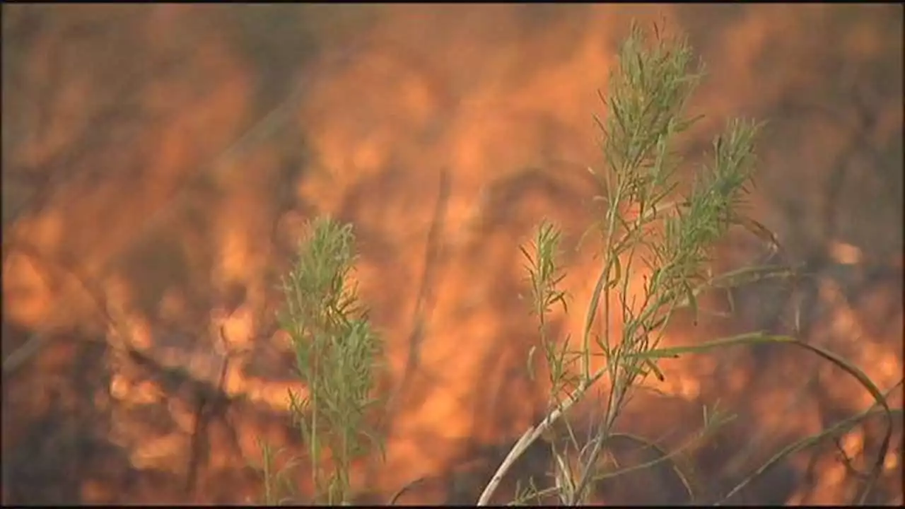 Crews fighting 100-acre brush fire in Llano County