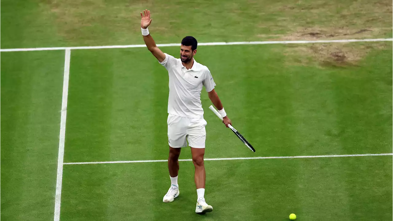 Djokovic buscará su octavo título en Wimbledon ante Alcaraz o Medvedev