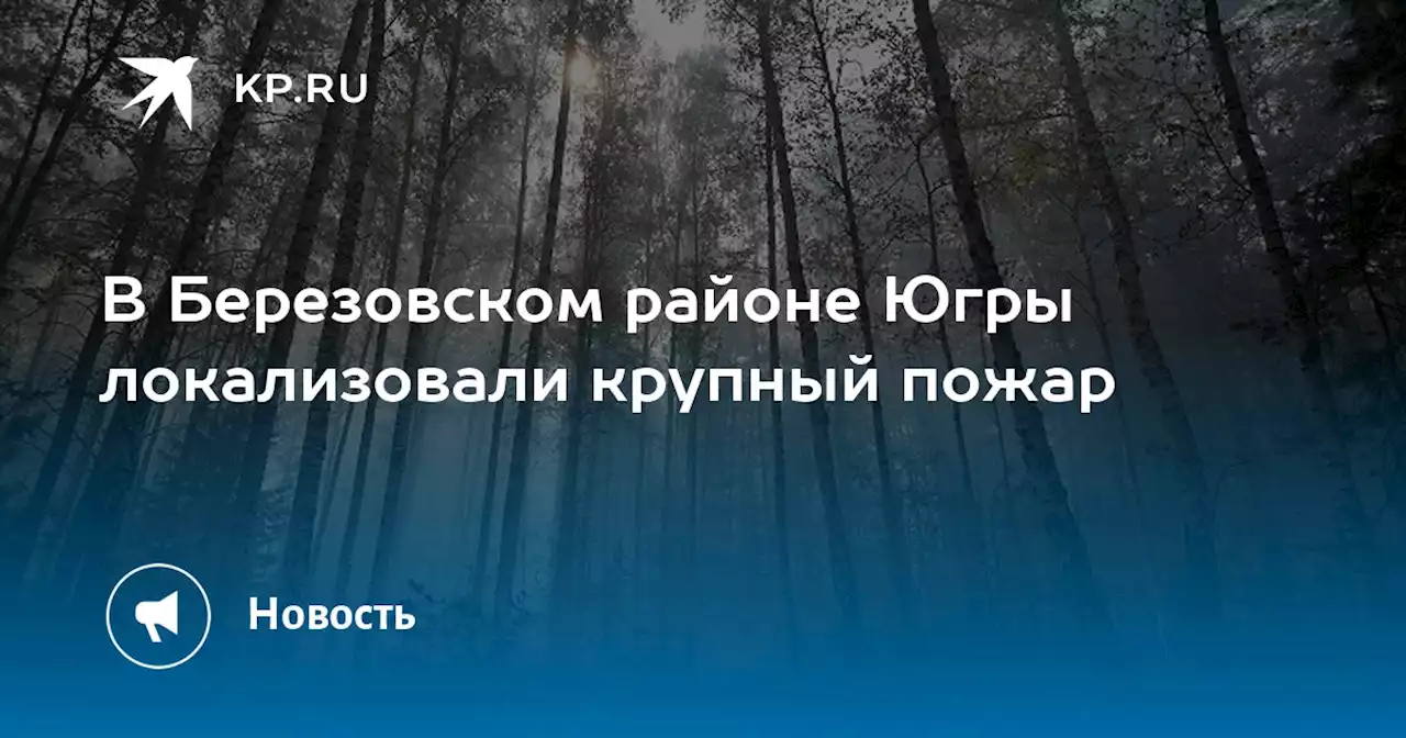 В Березовском районе Югры локализовали крупный пожар