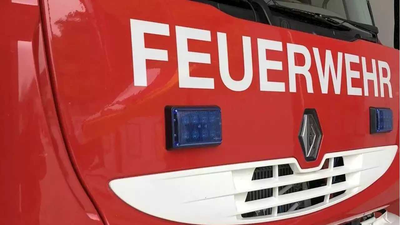 Tödlicher Unfall bei Forstarbeiten in Kärnten