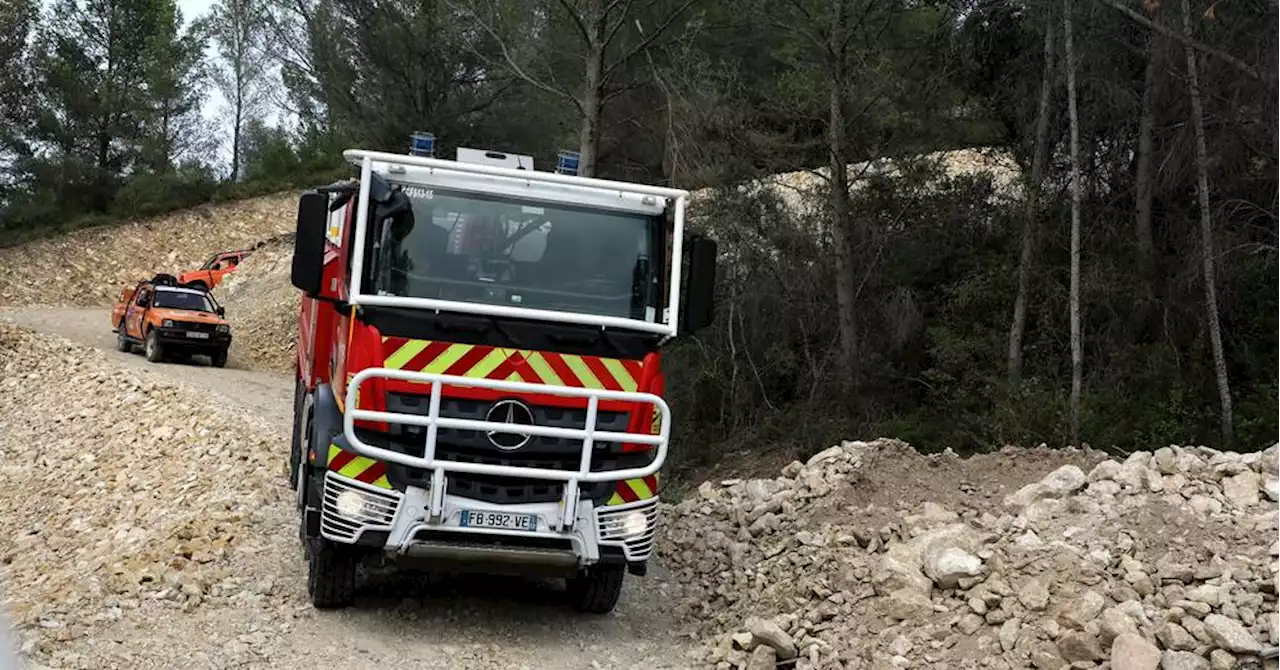 Pays d'Arles : un an après l'incendie, la résilience de la Montagnette