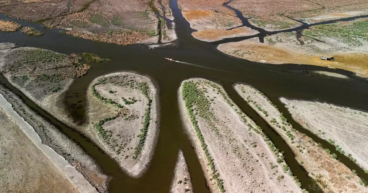 En Irak, les marais du Sud s'assèchent et une civilisation agonise