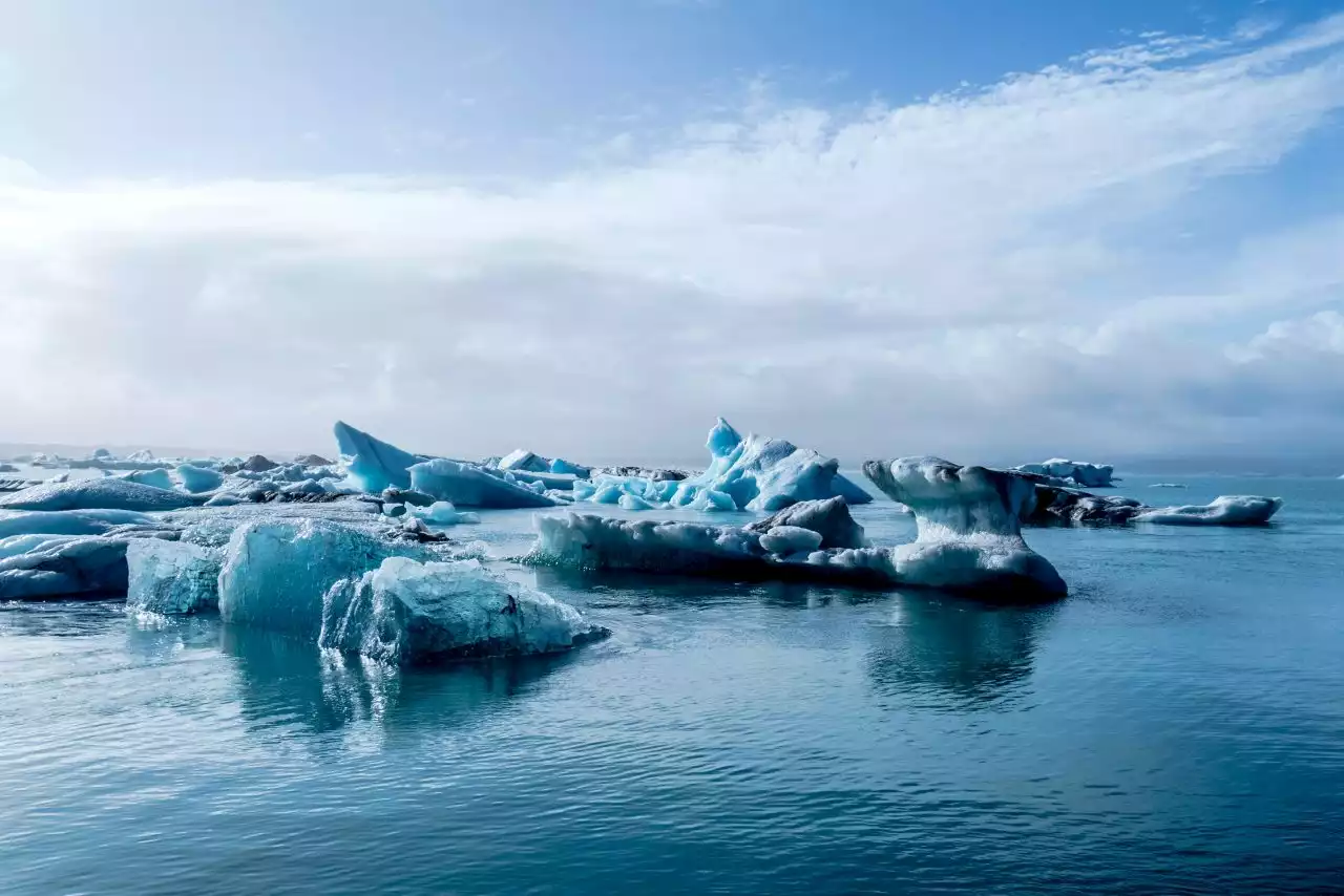 Tragedia nell’Artico | Quando la plastica ruba il posto al ghiaccio marino - Linkiesta.it