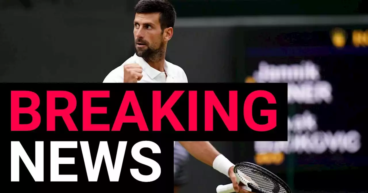 Novak Djokovic cruises into Wimbledon final with victory over Jannik Sinner