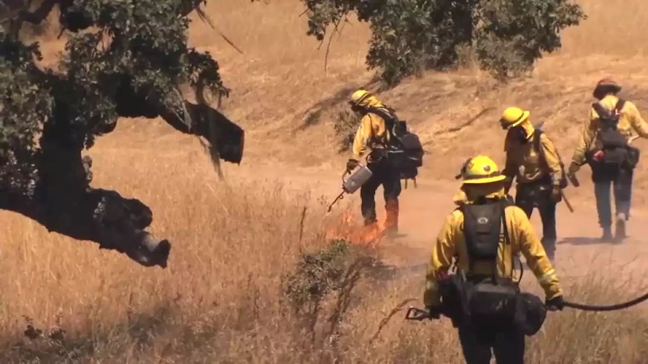 Firefighters perform controlled burn in South Bay foothills