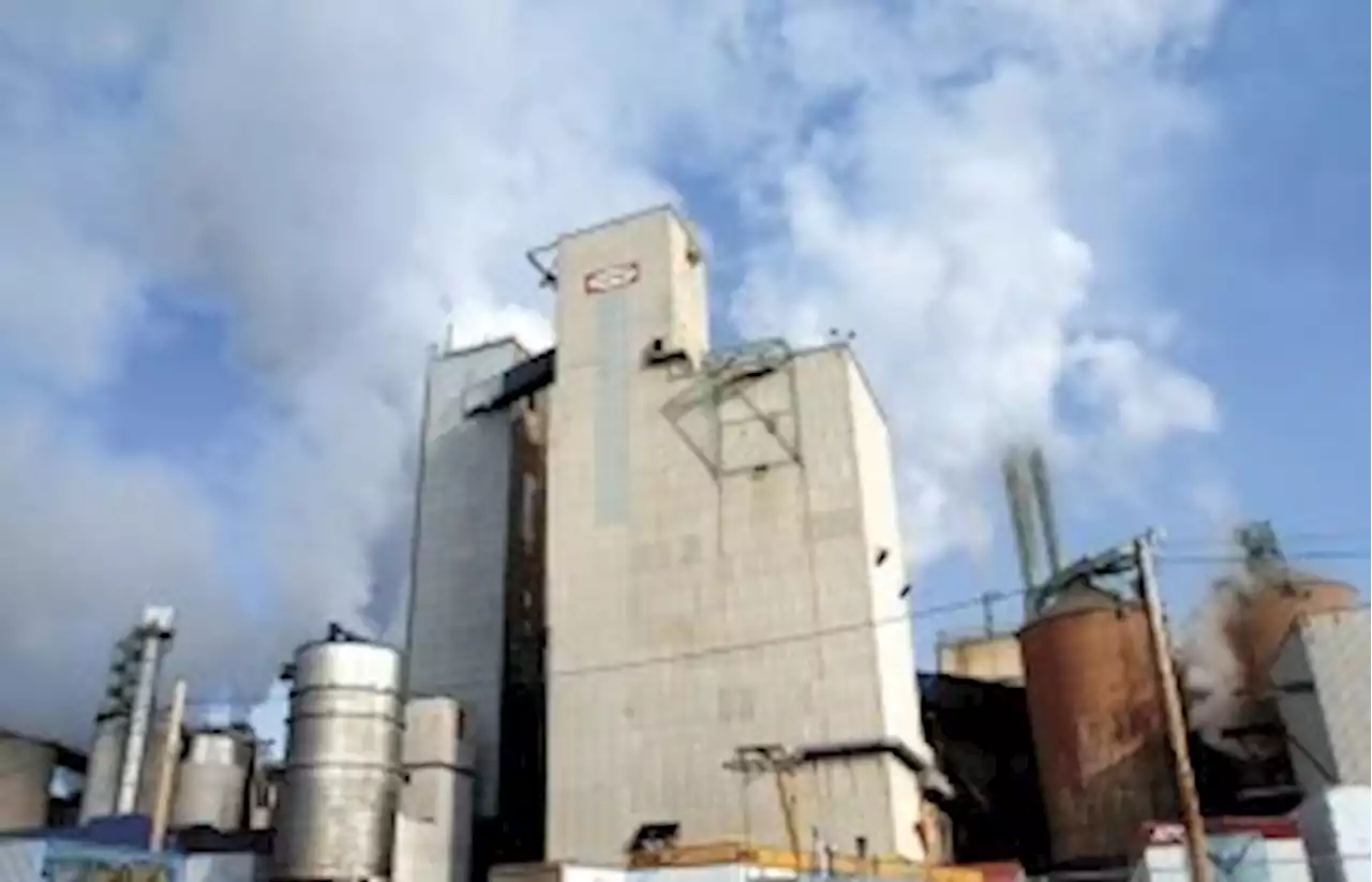 Northwood Pulp Mill to resume operations on Monday