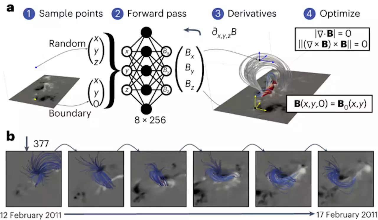 Probing the solar coronal magnetic field with physics-informed neural networks - Nature Astronomy