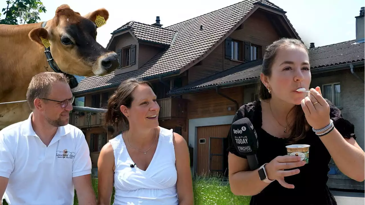 Auf dem Hof Schintbühl gibt es die beste Glace im Pilatusland