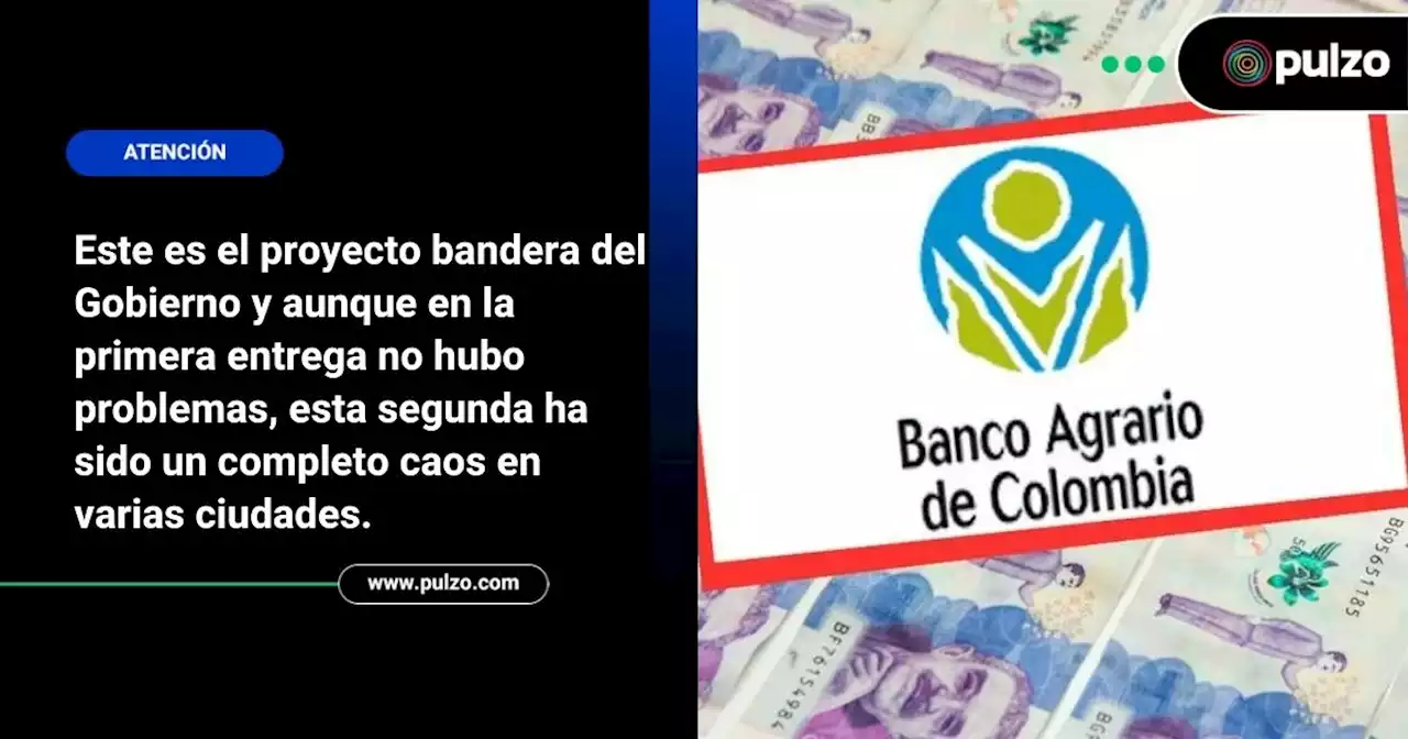 Problemas con subsidio Renta Ciudadana: por qué las filas y cuánto cobra el Banco Agrario - Pulzo