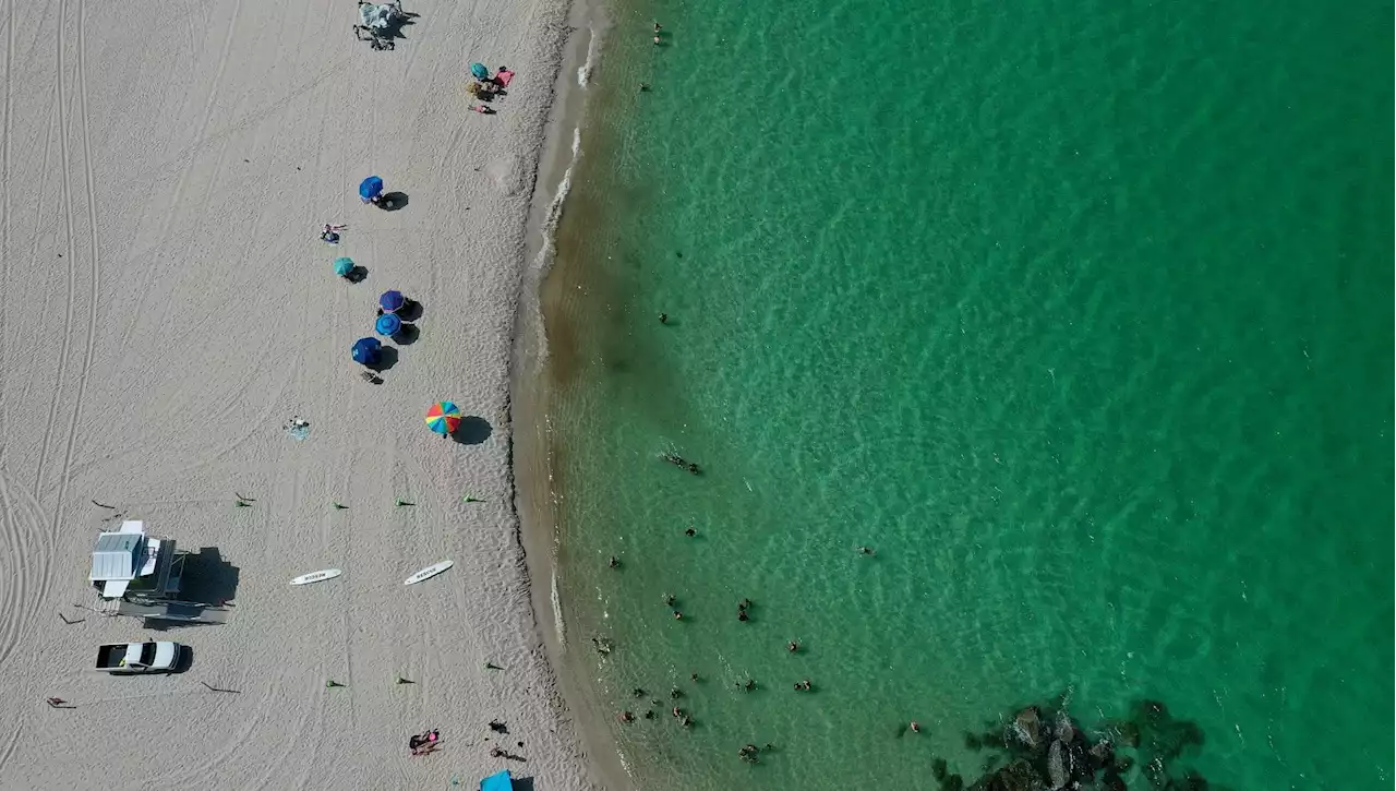 Gli oceani diventano verdi con il cambiamento climatico (e non è una buona notizia)