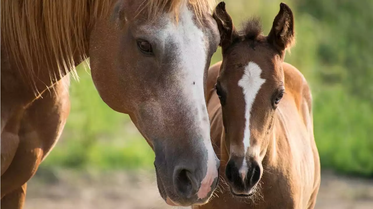 Wat is er dit weekend te doen in Drenthe?