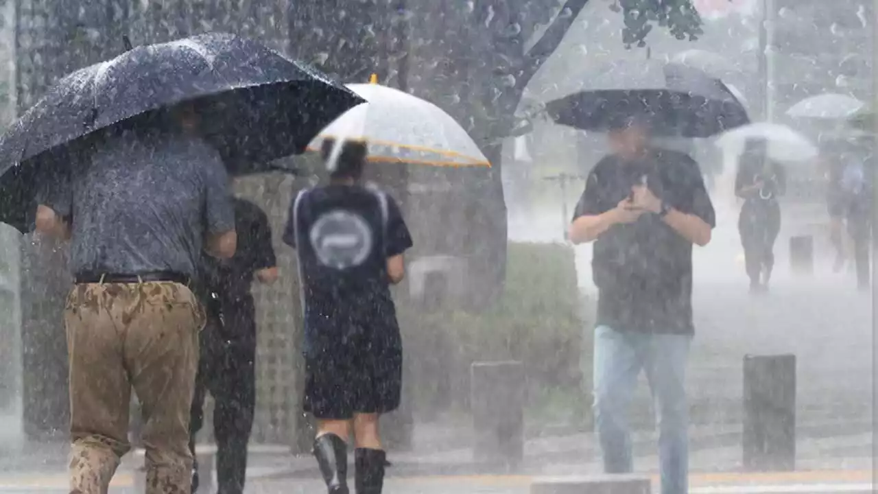 [날씨] 충청 · 전북 '호우경보'…내일까지 최대 300mm↑