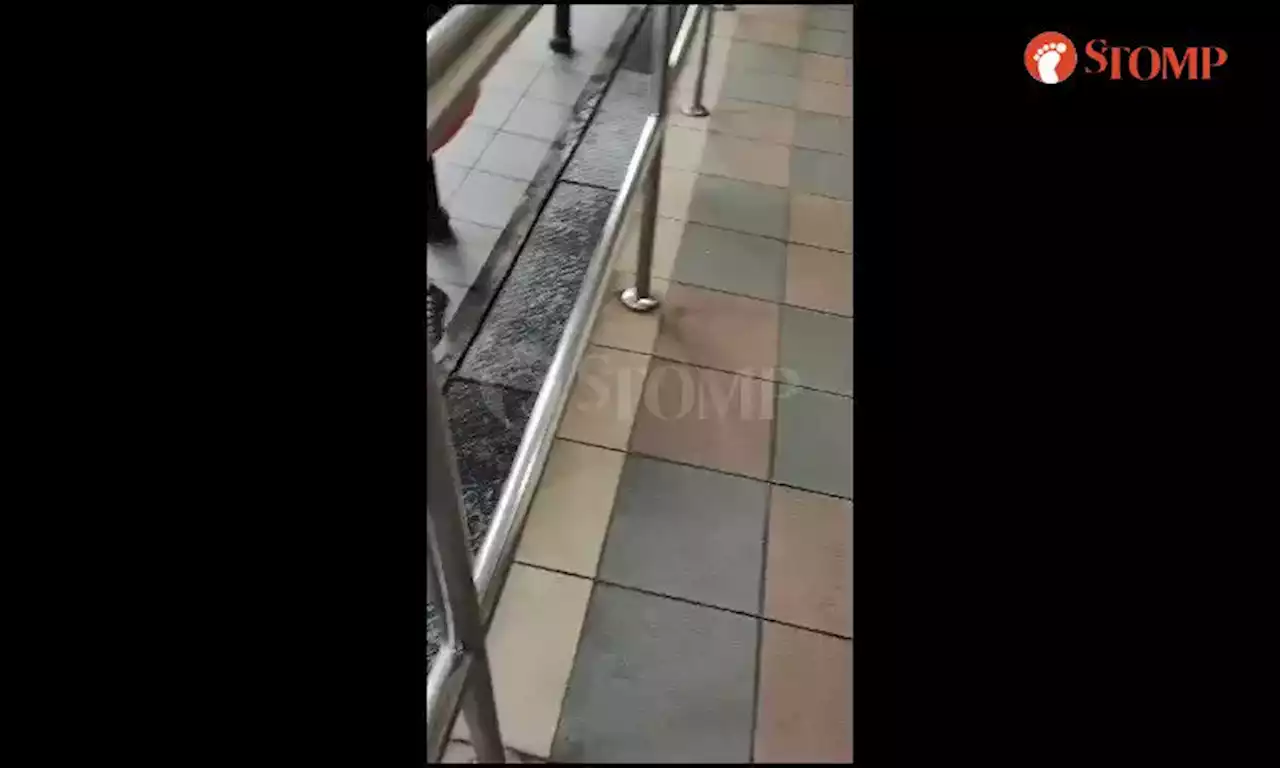 'Unreasonable couple' let dog sit with them as they have breakfast in Bukit Ho Swee hawker centre