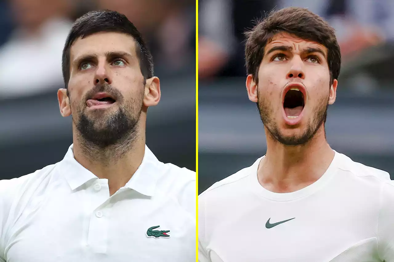 Djokovic to face Alcaraz in Wimbledon final as he bids to equal Federer's eight titles