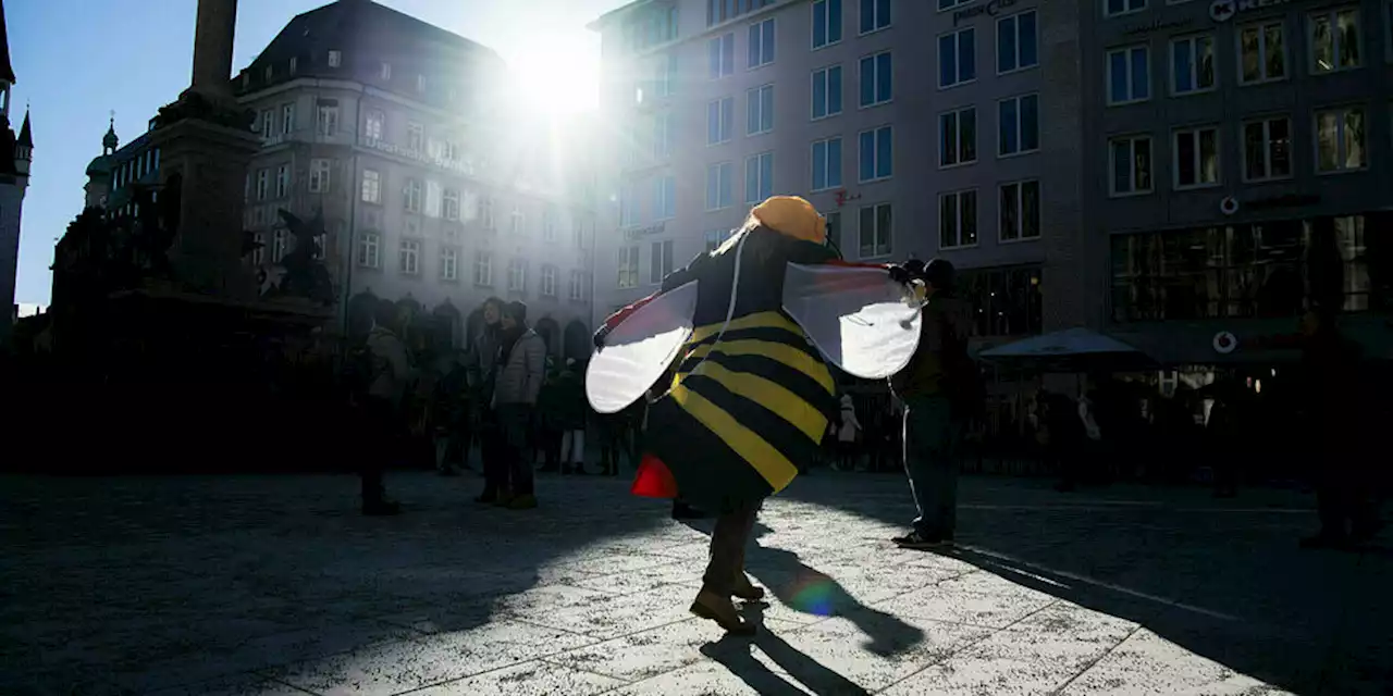 Streit um Renaturierung: Kann die EU ihre Natur heilen?