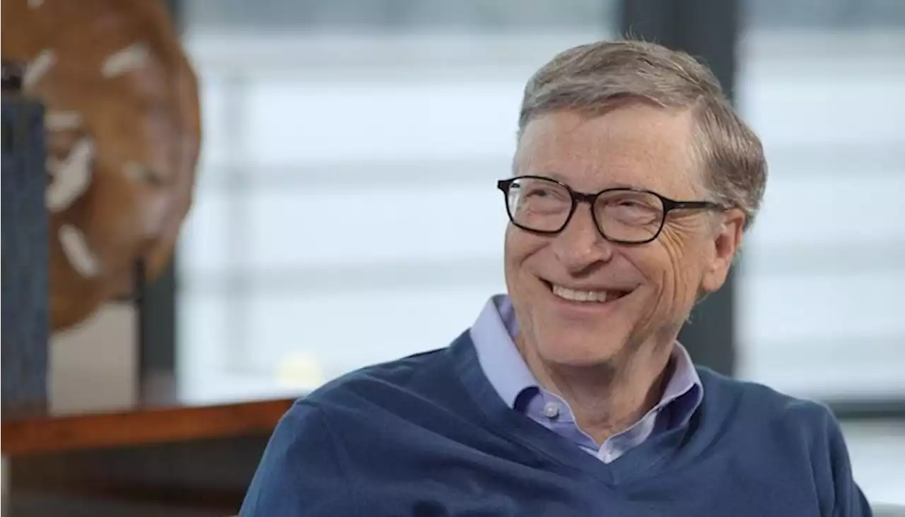 AI will be used to design malaria drugs, says Bill Gates - The Africa Report.com