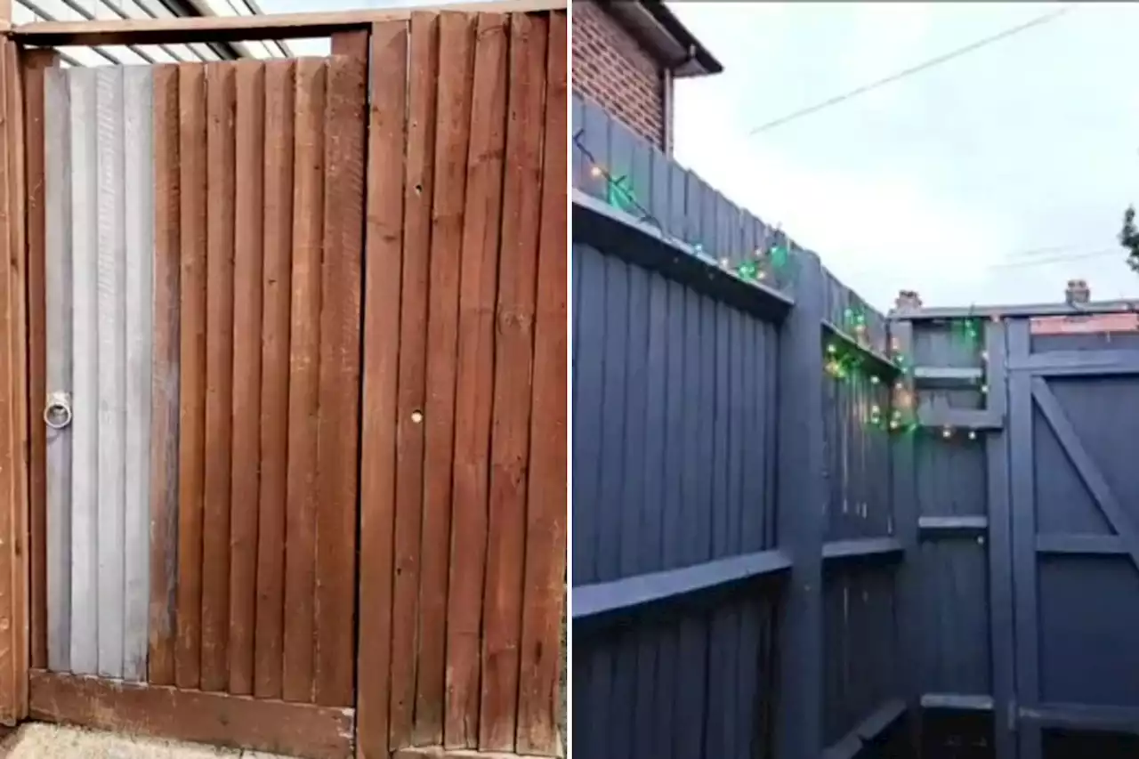 I transformed my privacy fence with a cheap lick of paint and £5 B&Q bargain