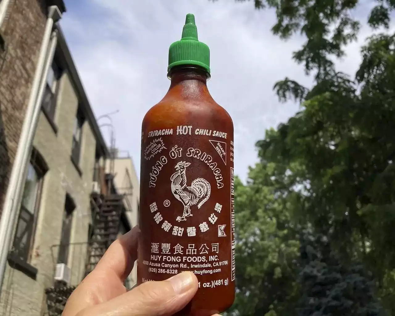 Explainer | Got Sriracha? The price for a bottle of Huy Fong’s iconic hot sauce gets spicy with supplies short