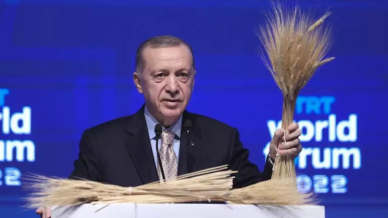 President Erdogan voices hope for Black Sea grain deal extension