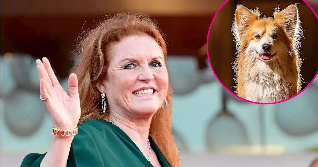 Sarah Ferguson Took Queen Elizabeth II's Dogs on 'Special' Walk