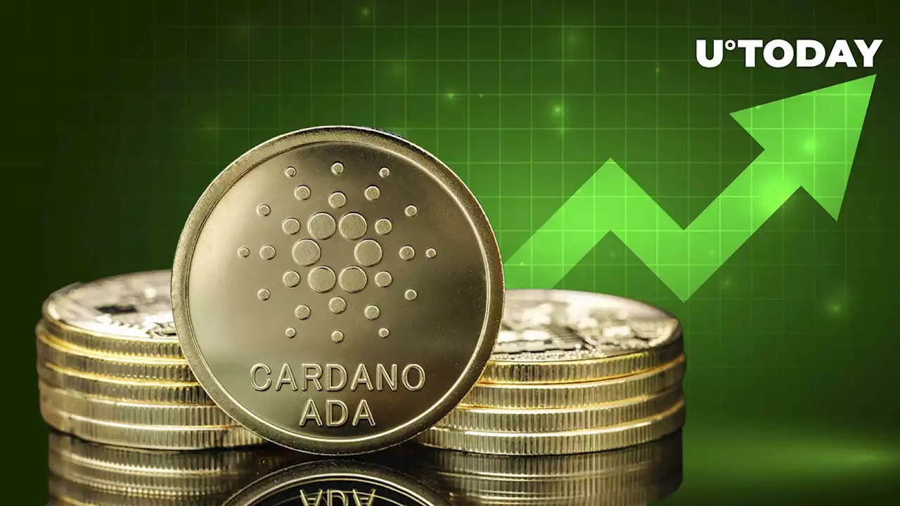 Cardano (ADA) up 23%, Here's Why Bulls Are Elated