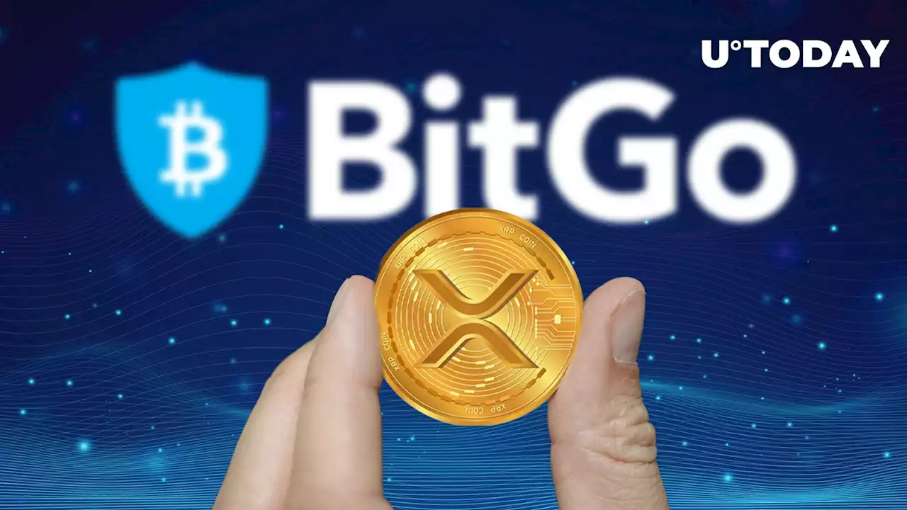 XRP Restored by BitGo Top Exchange, Price Remains up 66%