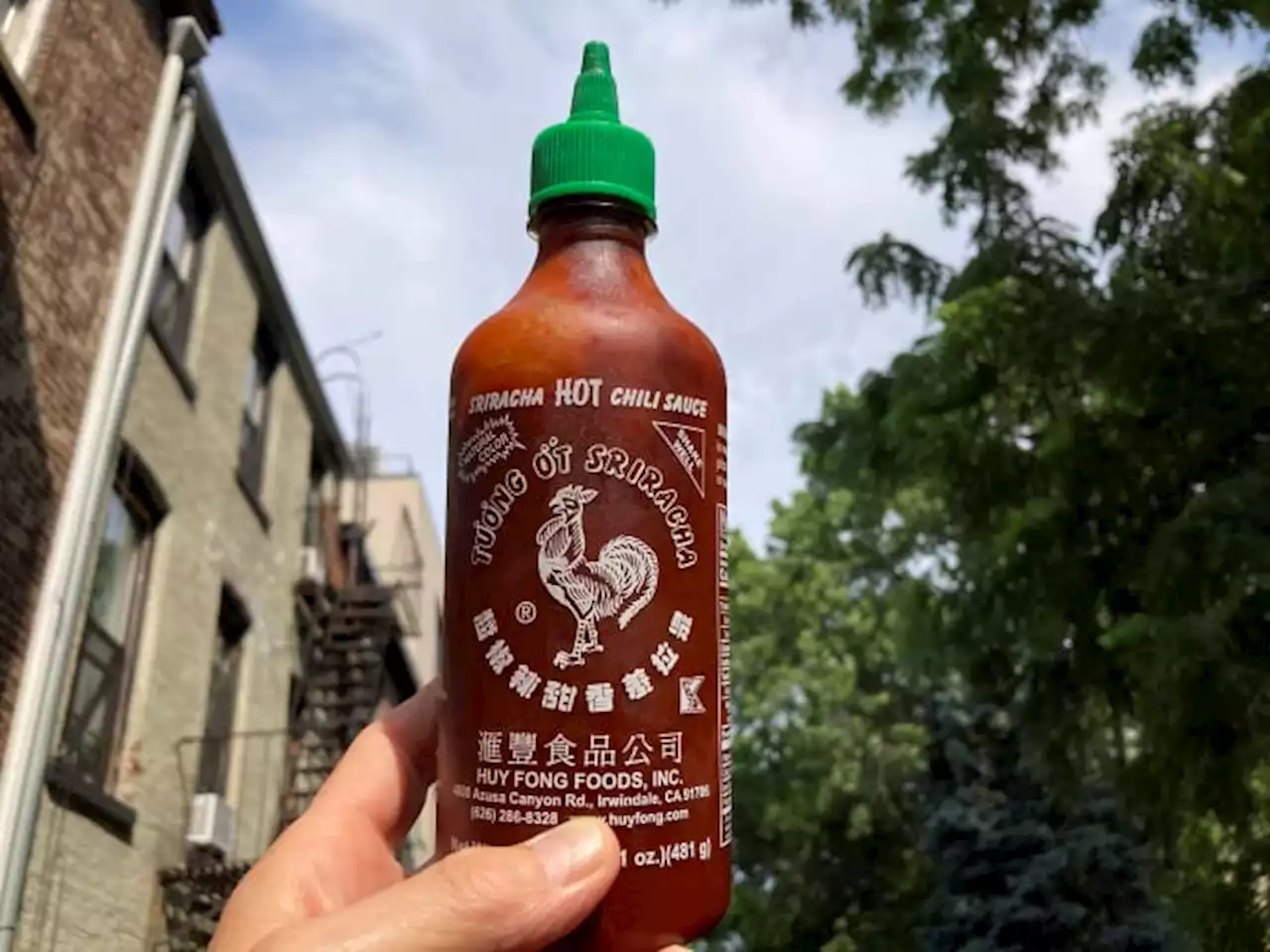 Got Sriracha? The price for a bottle of Huy Fong's iconic hot sauce gets spicy with supplies short