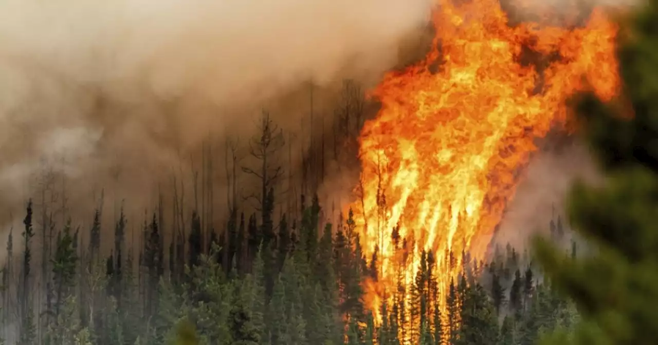 Satellite imagery shows just how many wildfires are currently burning