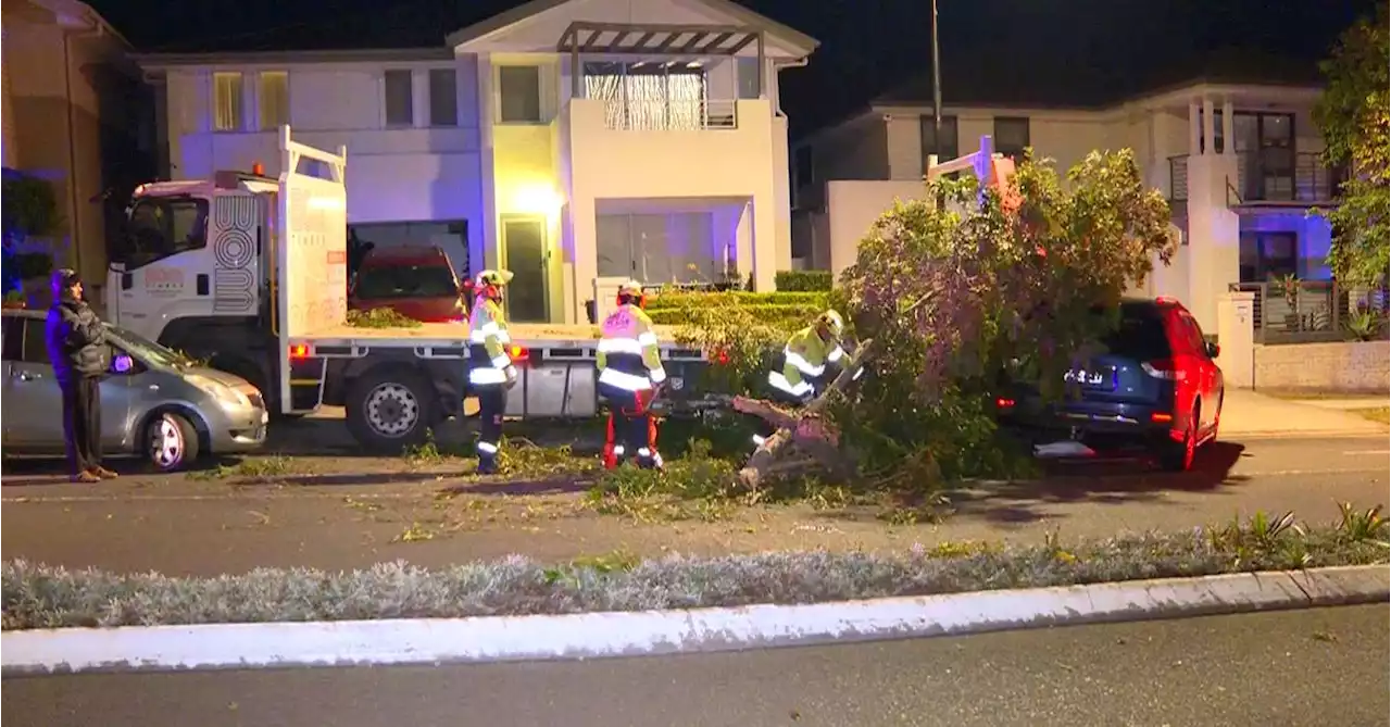 Driver crashes stolen truck into Sydney home, flees on foot