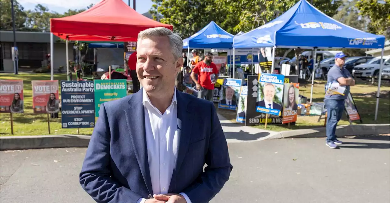 Labor concedes defeat as LNP candidate projected to win Fadden by-election