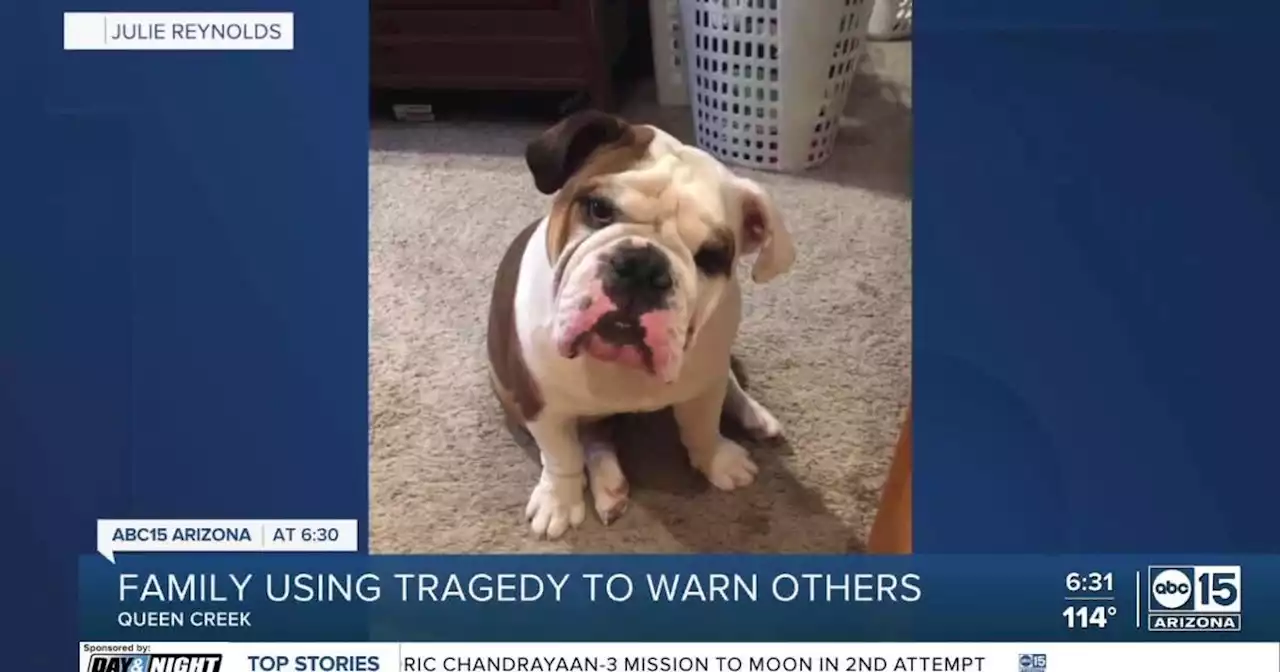 Family claims their dog died after cleaning crew left it in excessive heat