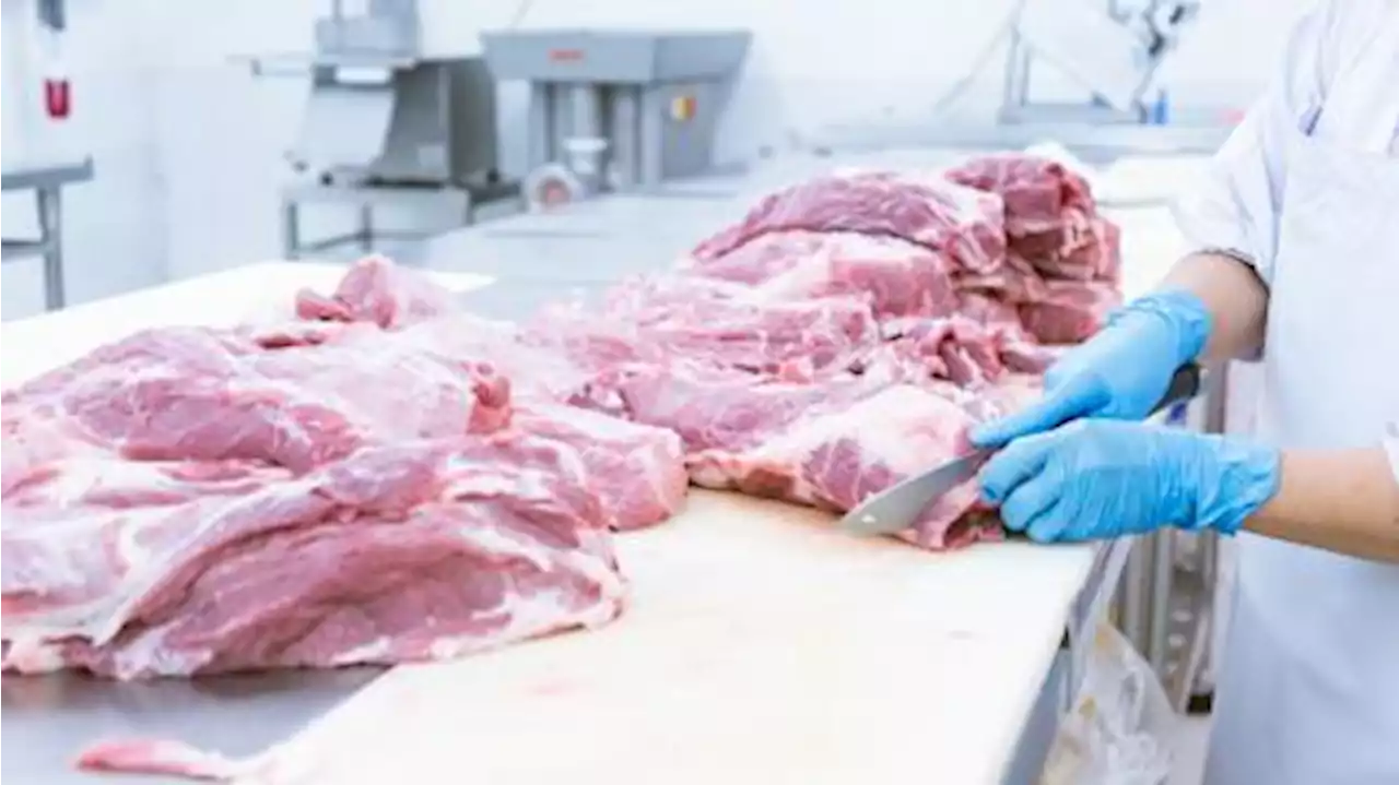 Cuáles son los nuevos precios de los cortes de carne de Precios Justos