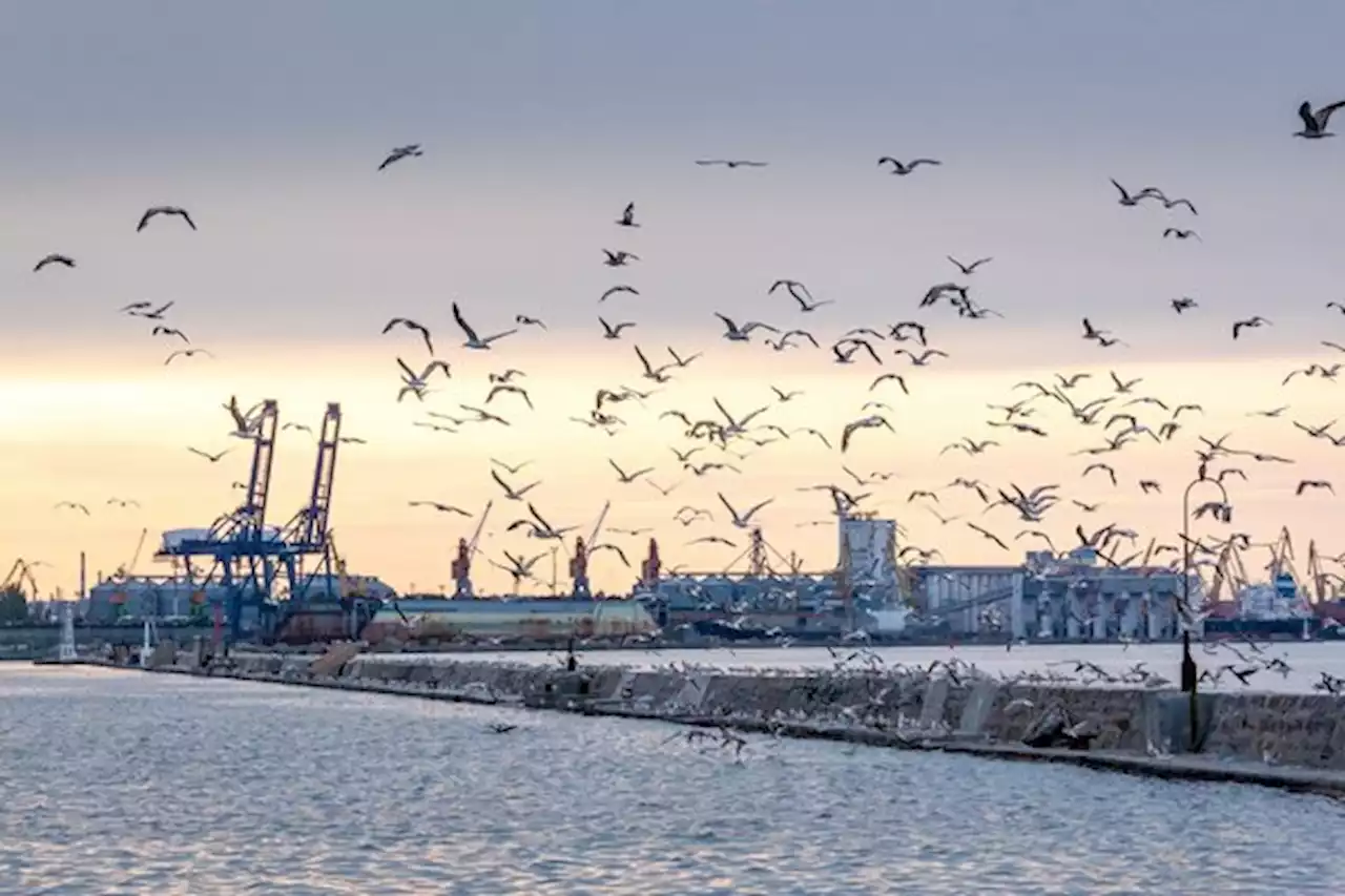 «Es geht um die Rettung der besten Ackerböden der Welt» - bauernzeitung.ch