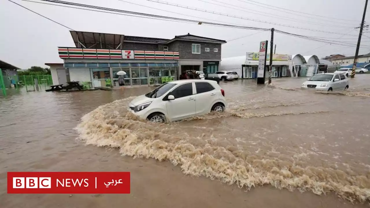 التغير المناخي: فيضانات شديدة تجتاح كوريا الجنوبية وتخلف أكثر من 20 قتيلا - BBC News عربي