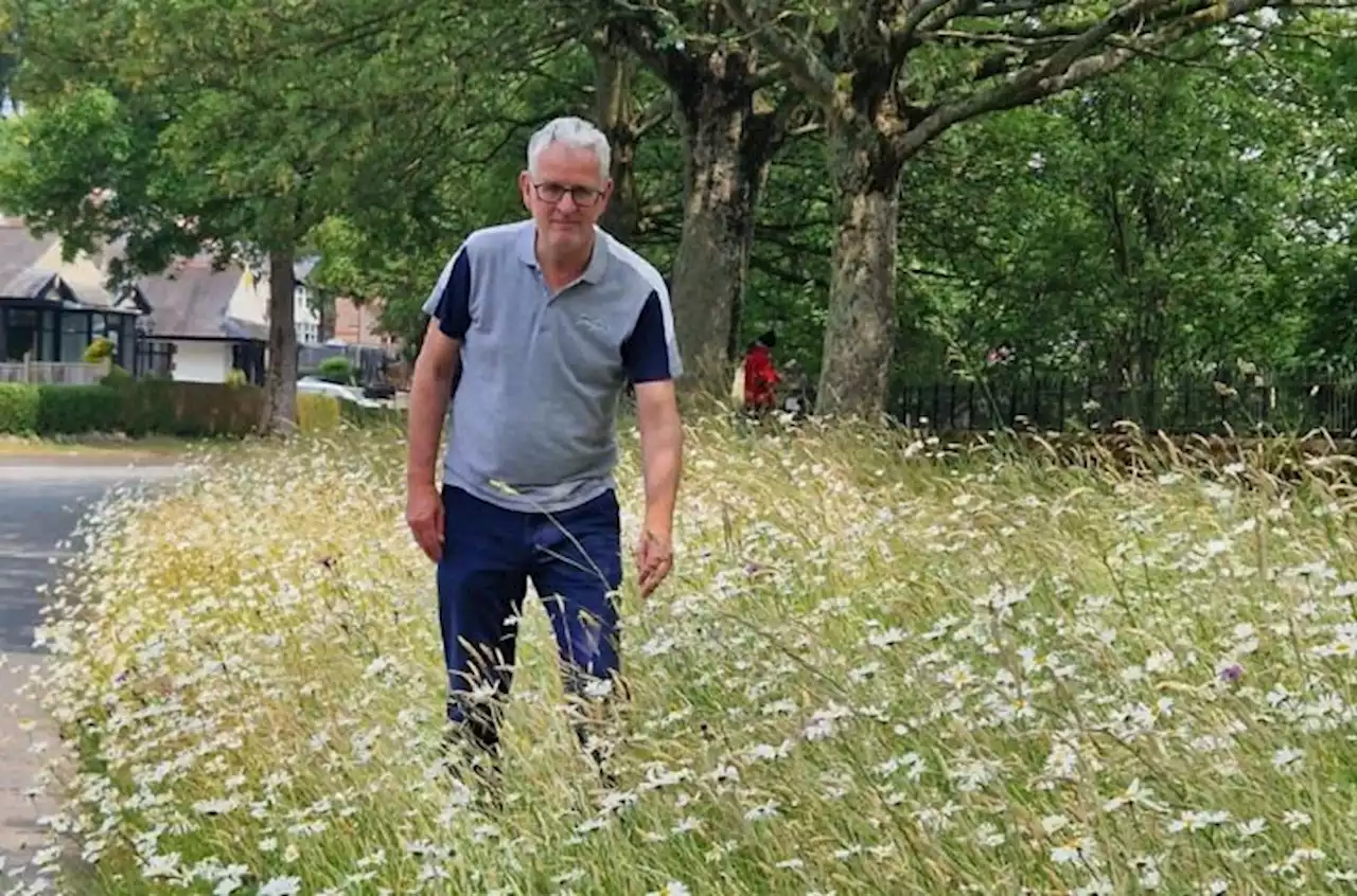 Preston City Council makes pledge to reduce controversial weedkiller