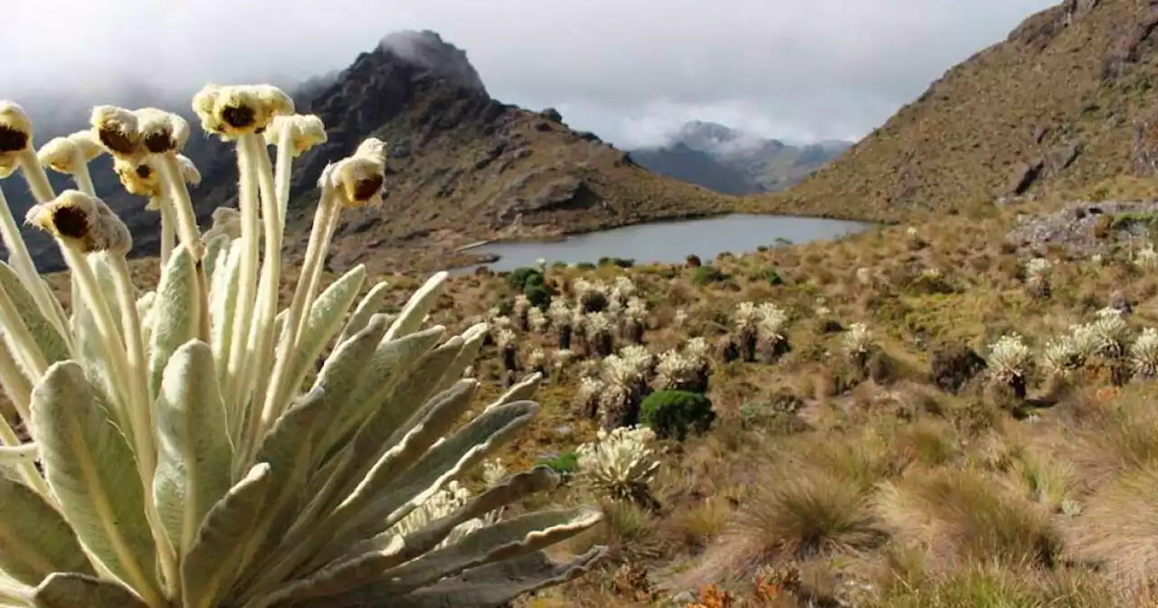 Mineros de California rechazan que ambientalistas busquen cambiar delimitación de Santurbán