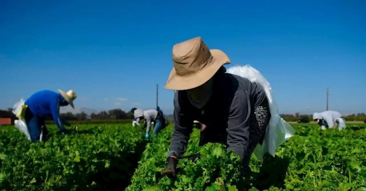 Republicans Join Democrats to Push Farmworker Amnesty for Illegals