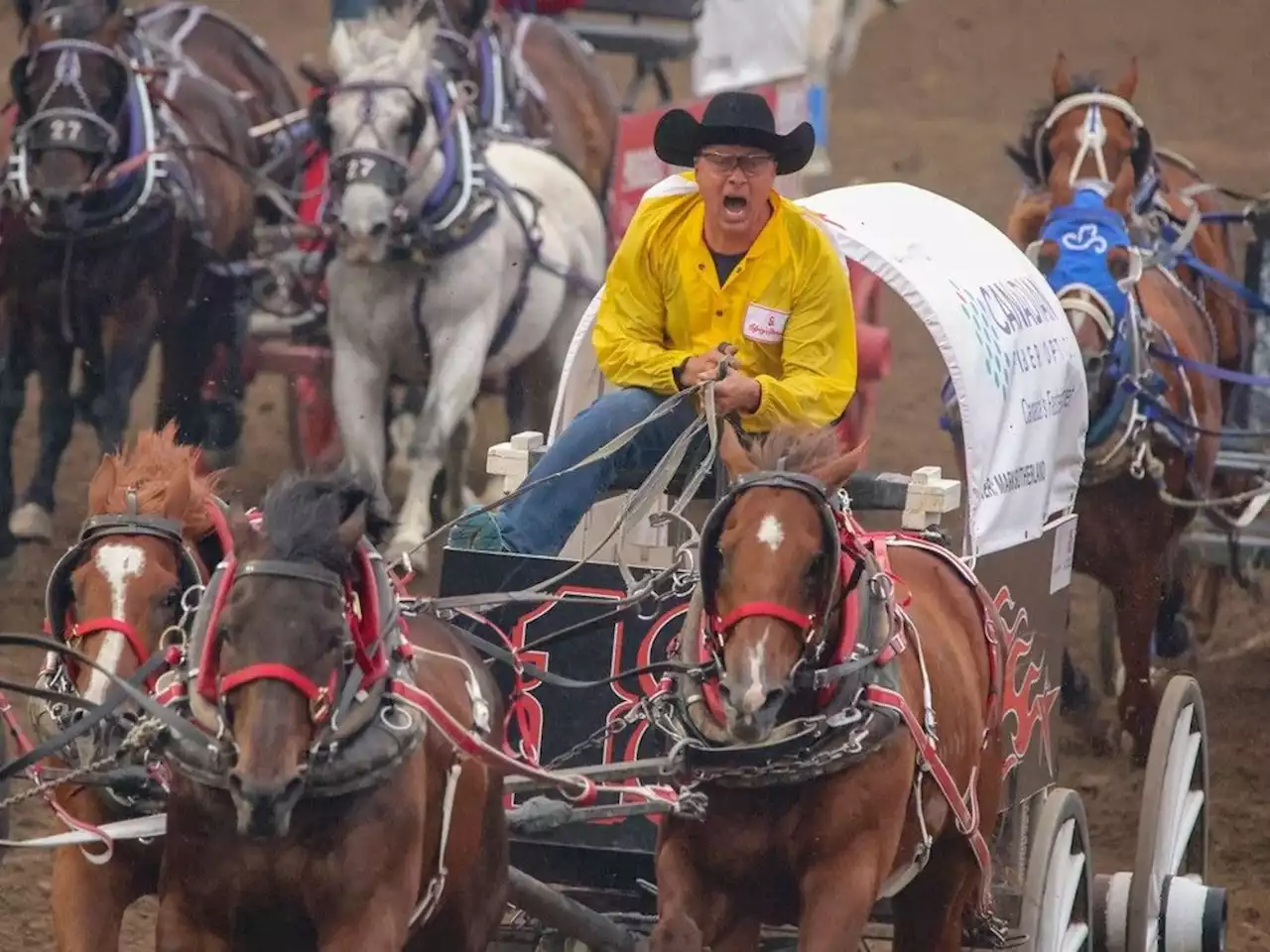 Mark Sutherland, Codey McCurrach leaving chuckwagon racing on high notes at Rangeland Derby