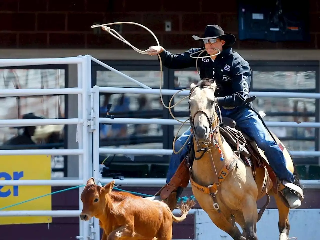 RODEO NOTES: Roper Kyle Lucas earns first Stampede win, gets leg up in Showdown Sunday chase