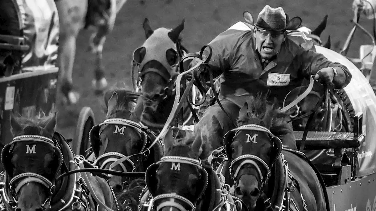 Calgary Stampede: The faces of chuckwagon racing