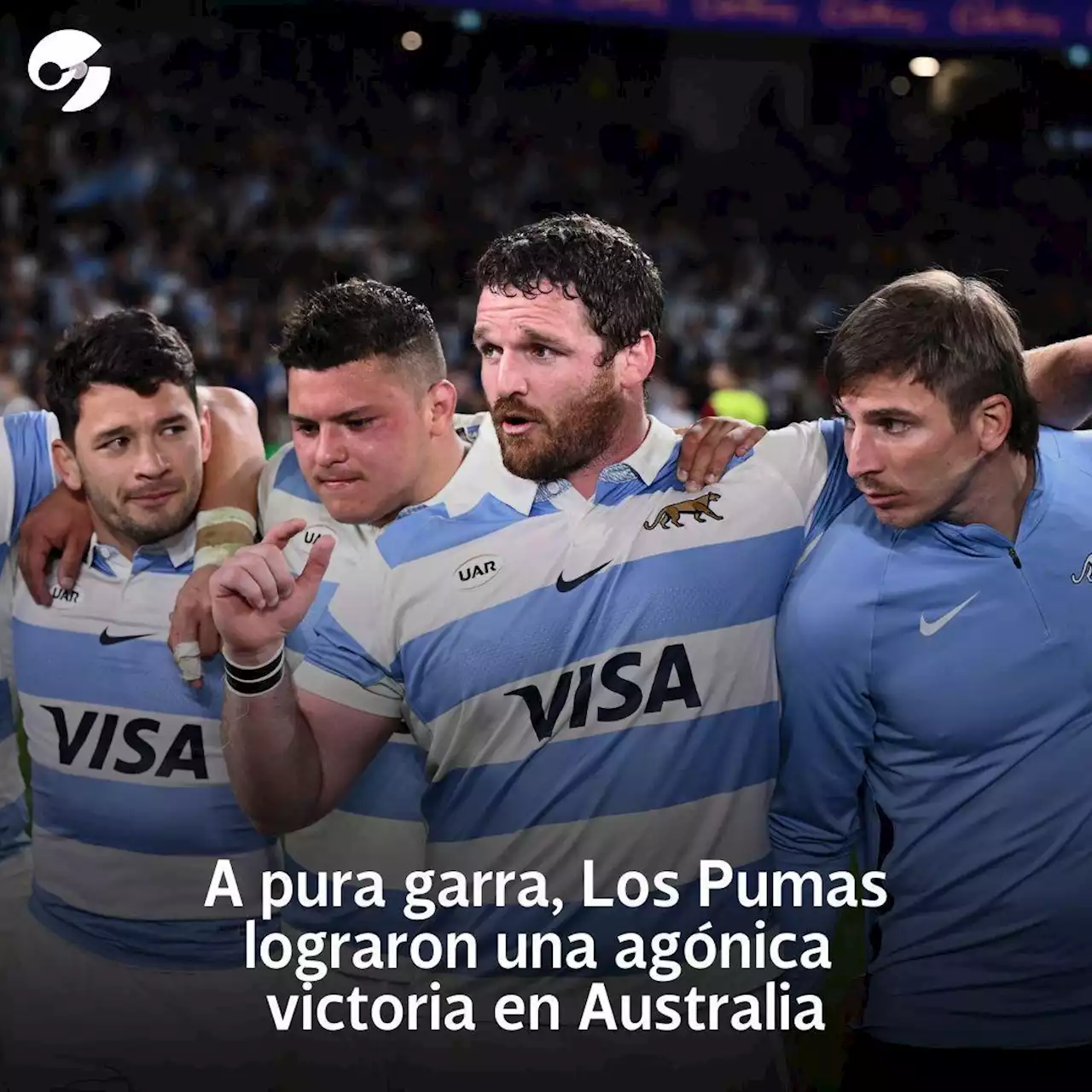 La épica victoria de Los Pumas ante Australia: del lamento por el try en contra al festejo en la última jugada